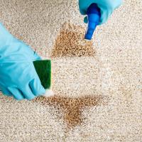 Carpet Cleaning Kambah image 7